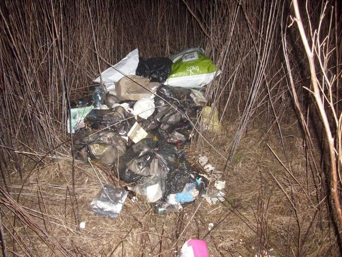 Znalazła swoje śmieci w krzakach koło domu. Oskarża firmę wywożącą odpady