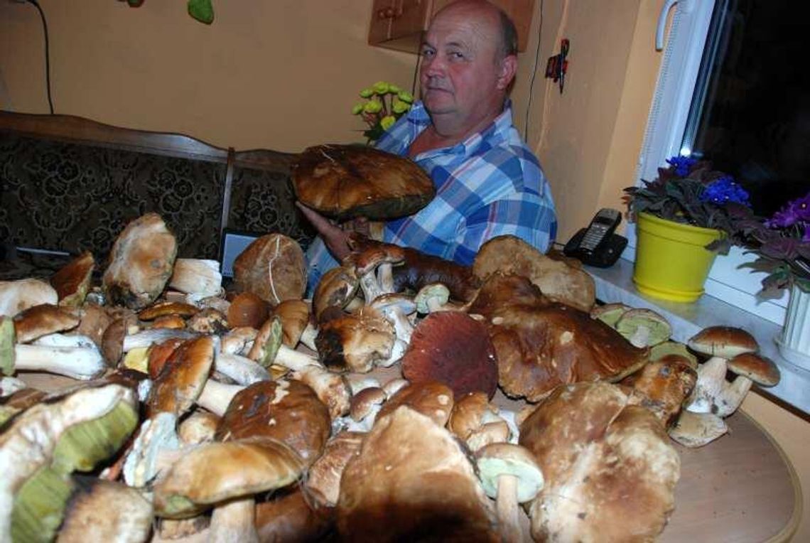 \"Znalazłem prawdziwka giganta. Kto pobije ten rekord?\"