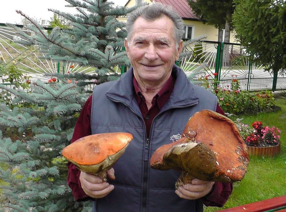 Znalazłem wielkiego kozaka Znalazłem wielkiego kozaka