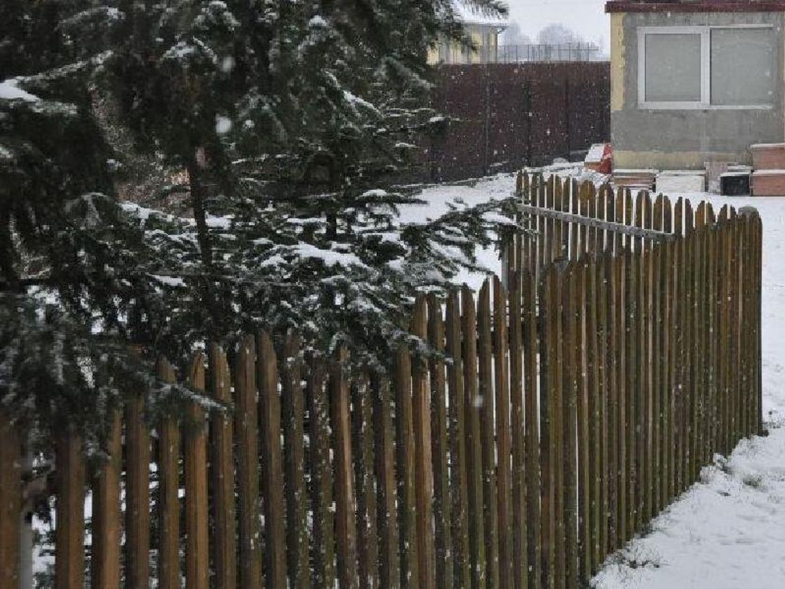 Znaleziono martwą 37-latkę. Brat i partner zatrzymani