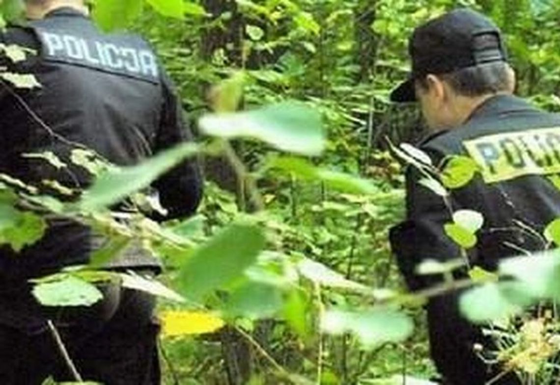 Znaleźli czaszkę, a potem cały szkielet