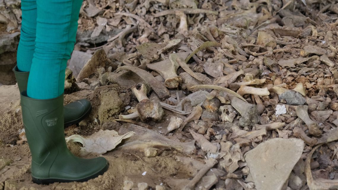 Znaleźli pryzmę kości w dawnych zakładach. Na miejsce jedzie sanepid [zdjęcia]