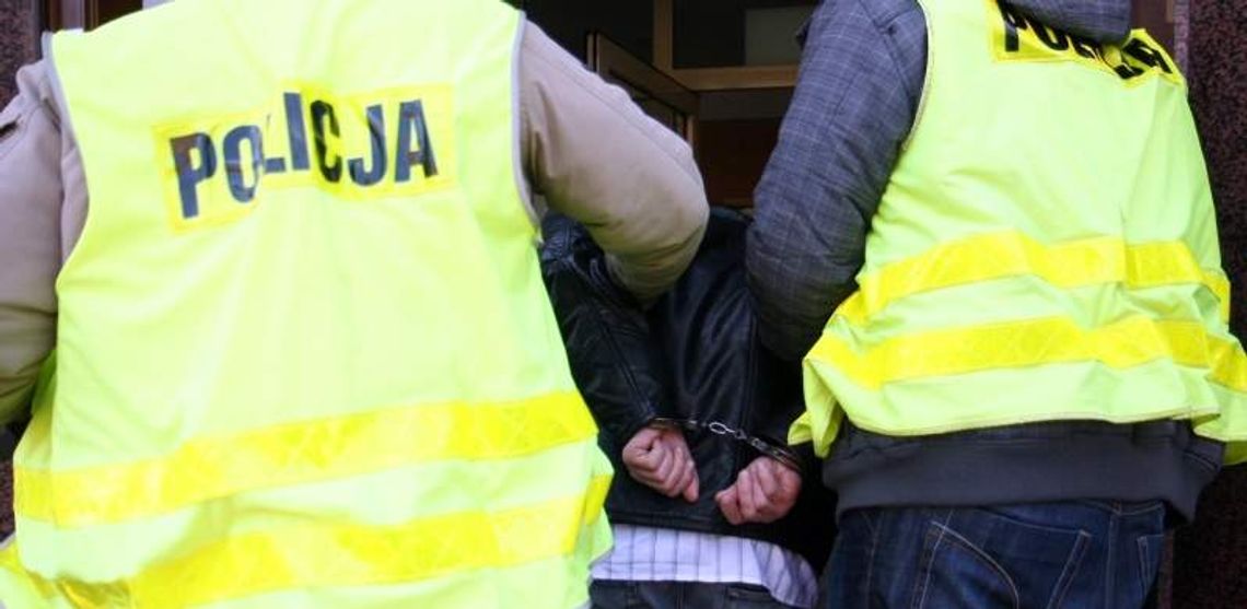 Znęcał się nad kotem. Wlał mu do pyska płyn do toalety