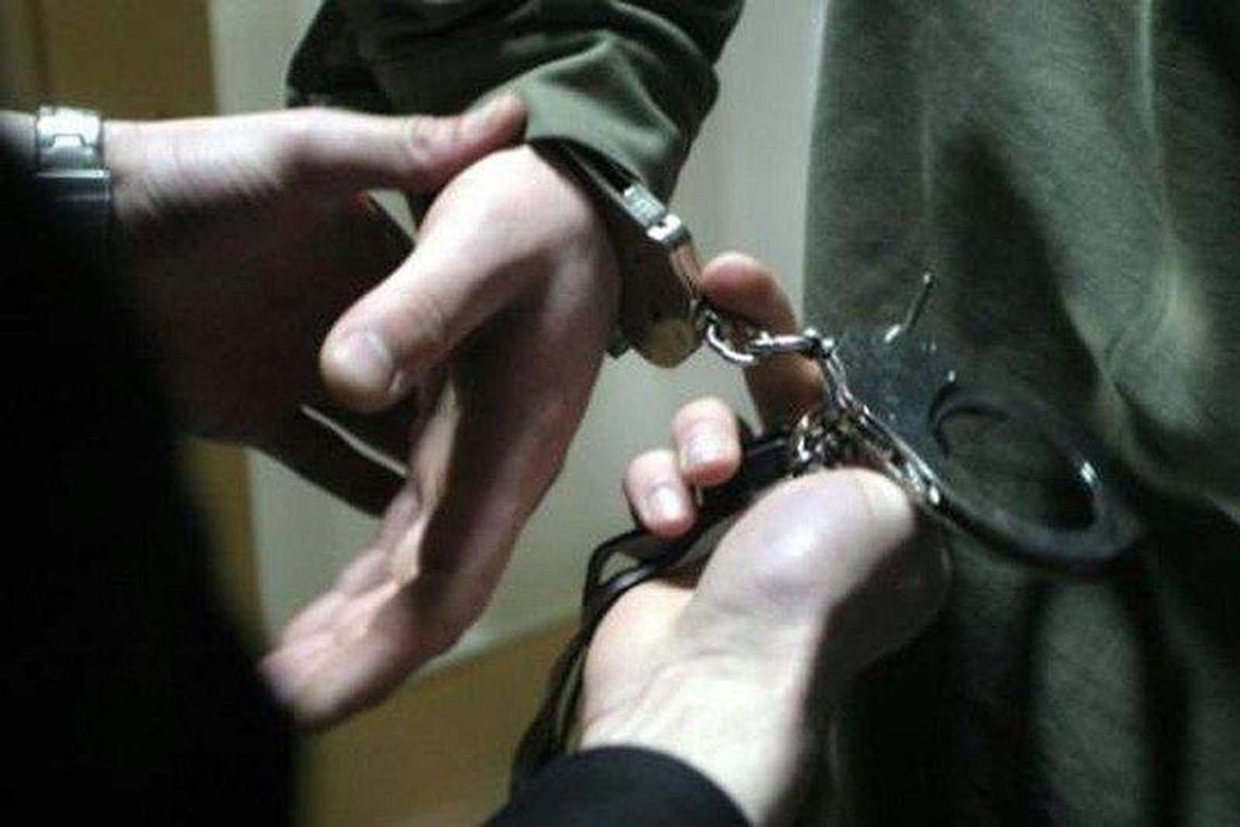 Znęcał się nad rodziną od 14 lat, skatował psa. Stanie przed sądem