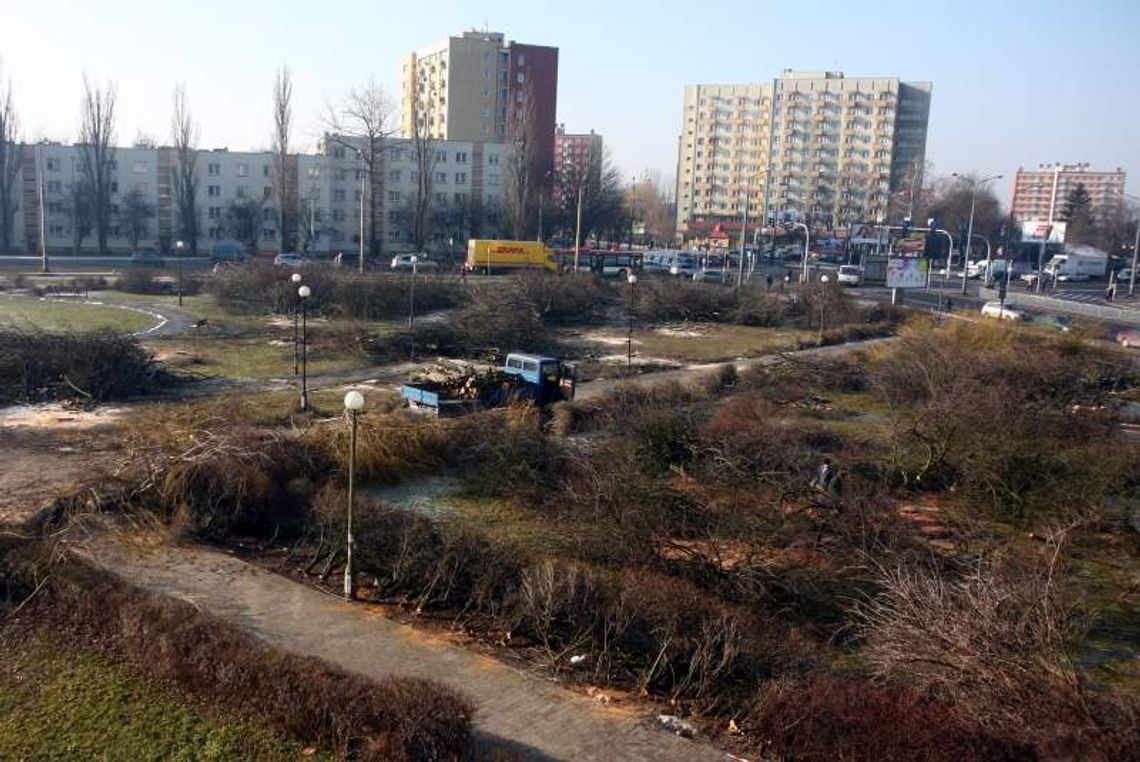 Zniknął zielony zakątek na Bronowicach. Wycięli 77 drzew. "To barbarzyństwo!" Zniknął zielony zakątek na Bronowicach. Wycięli 77 drzew. "To barbarzyństwo!"