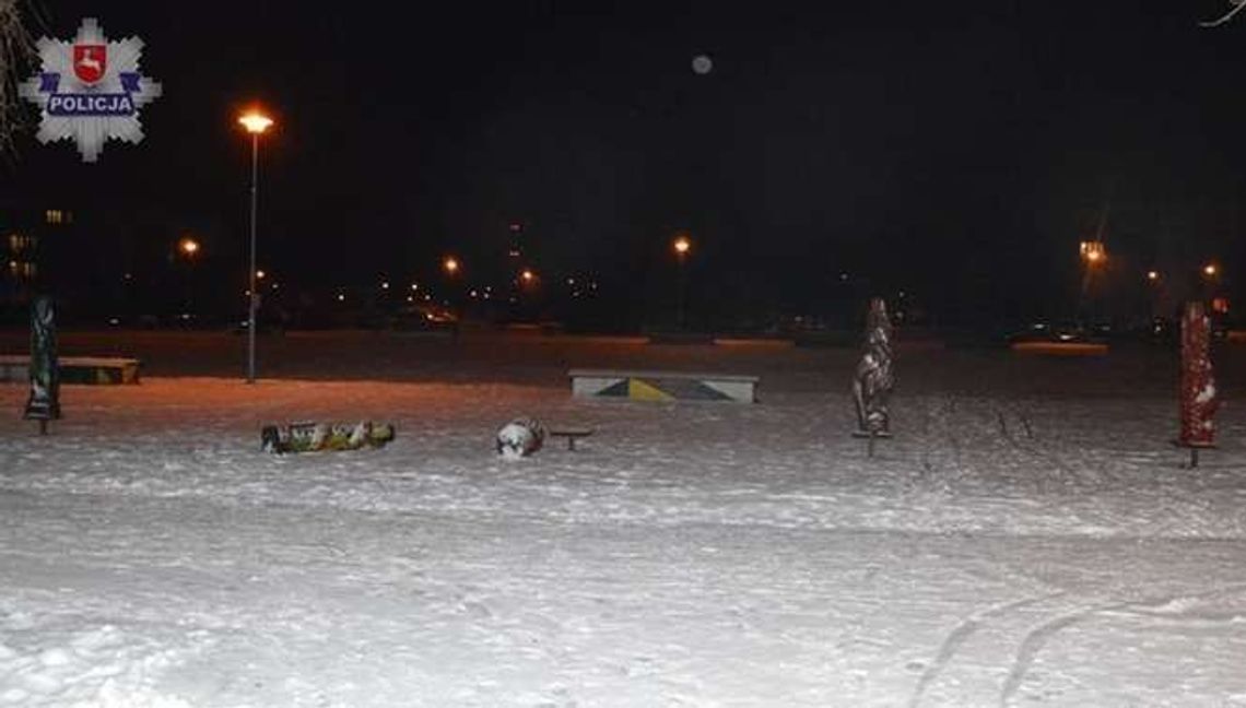 Zniszczył rzeźby, które zrobiły dzieci. 17-latek zatrzymany