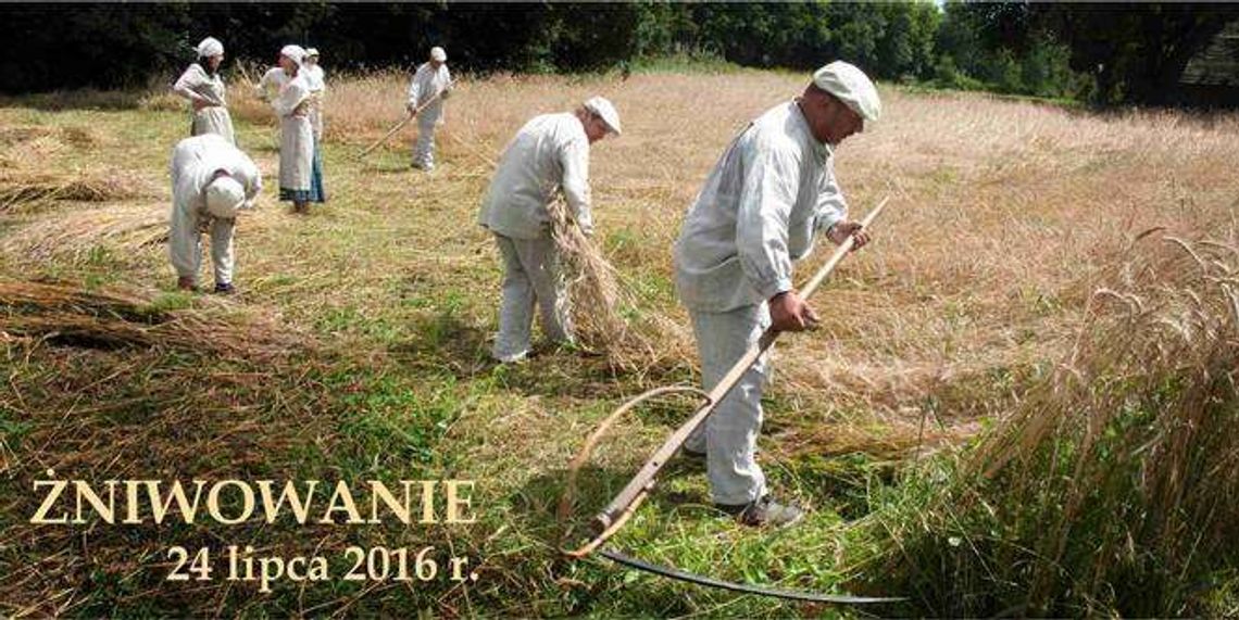 Żniwowanie i warsztaty w Skansenie
