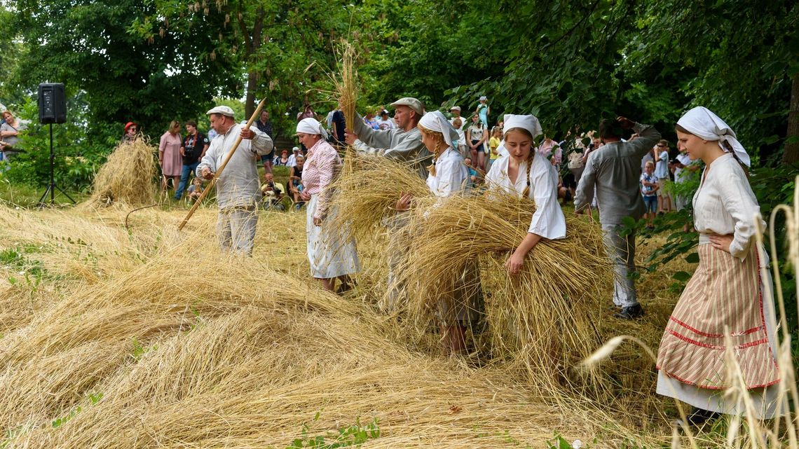 Żniwowanie w Skansenie Żniwowanie w Skansenie