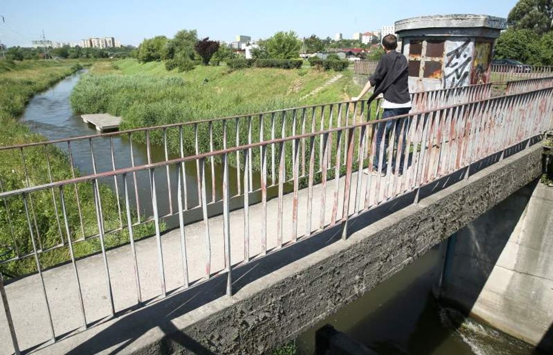 Znów iskrzy w sprawie elektrowni na Bystrzycy. Wędkarze boją się o ryby Znów iskrzy w sprawie elektrowni na Bystrzycy. Wędkarze boją się o ryby