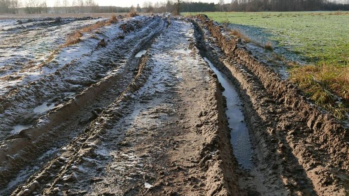 Żołnierze naprawiają zniszczone drogi nad Bugiem
