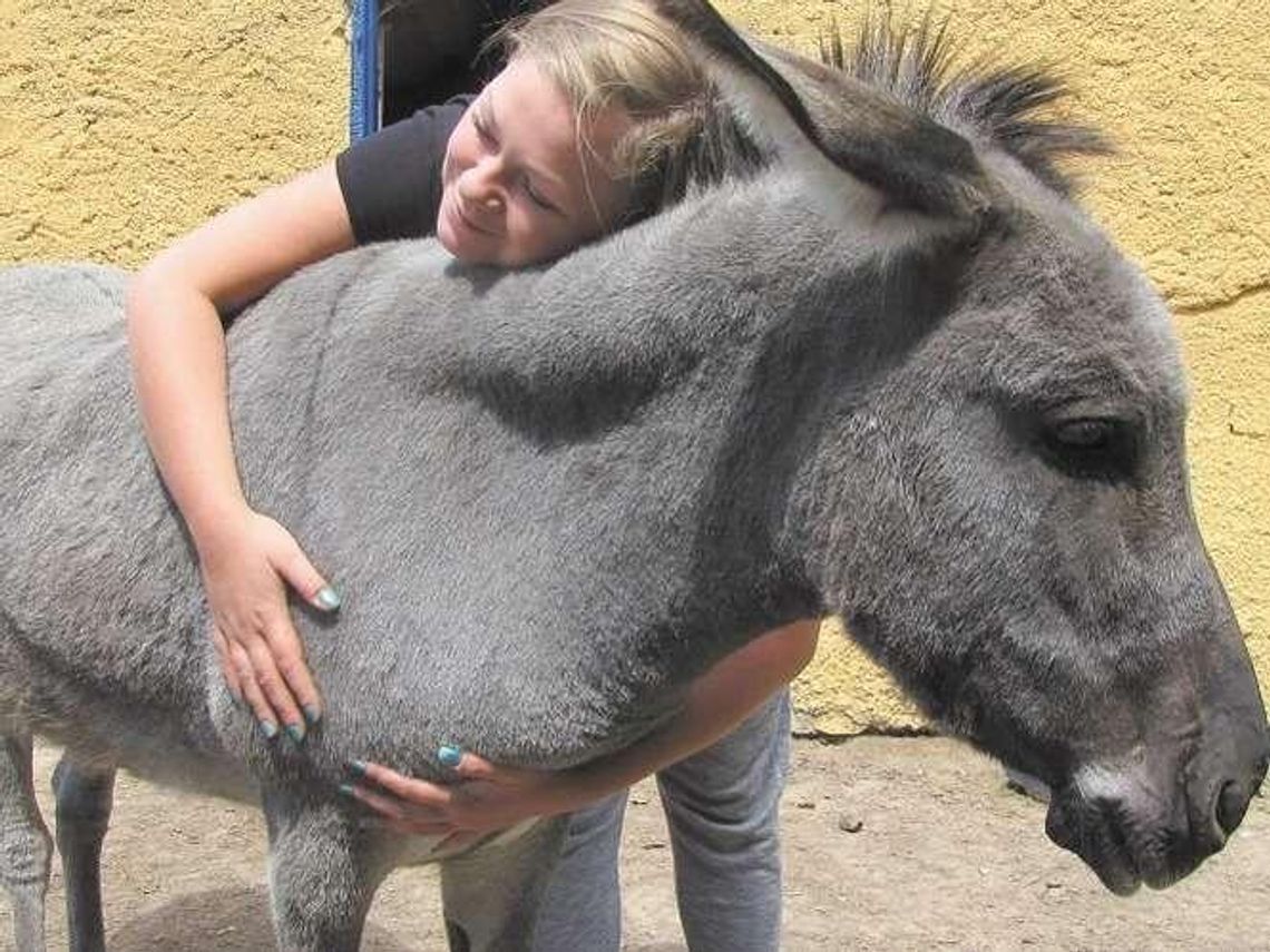 ZOO w Lubelskiem już zamknięte. Zwierzęta trafią na sprzedaż. "Przykra sytuacja"