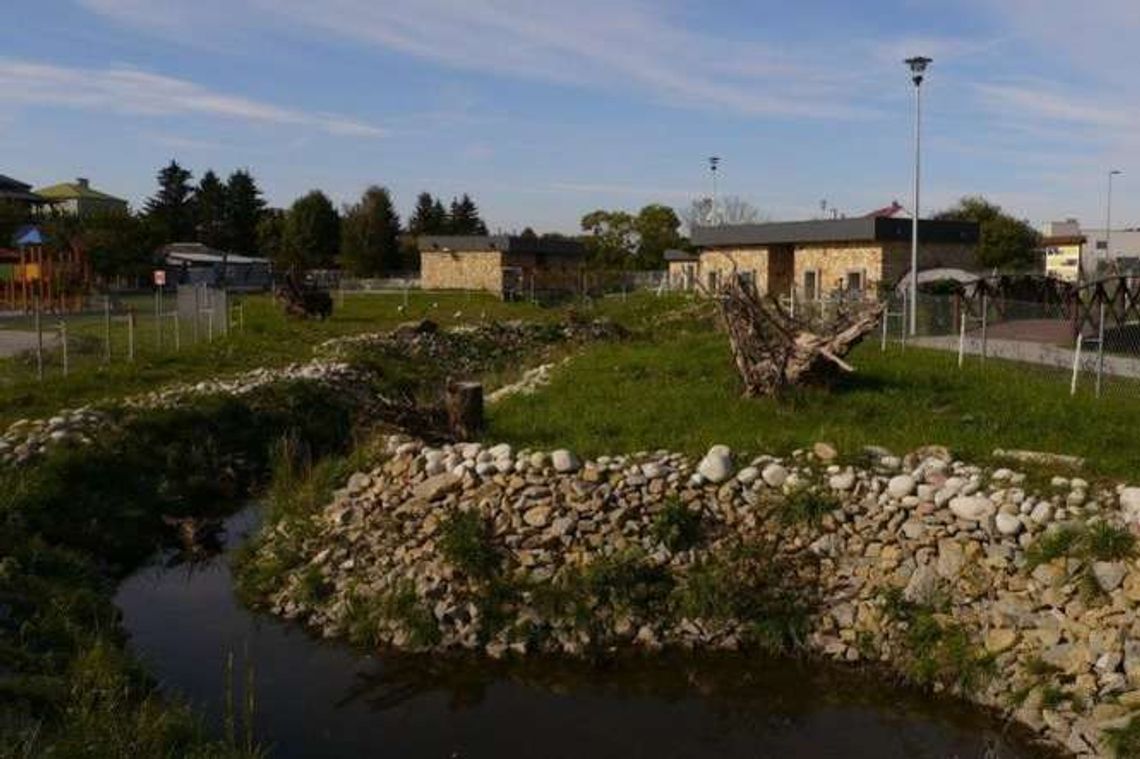 Zoo w Zamościu: Hipopotam Fupi i kapibary mają nowy dom