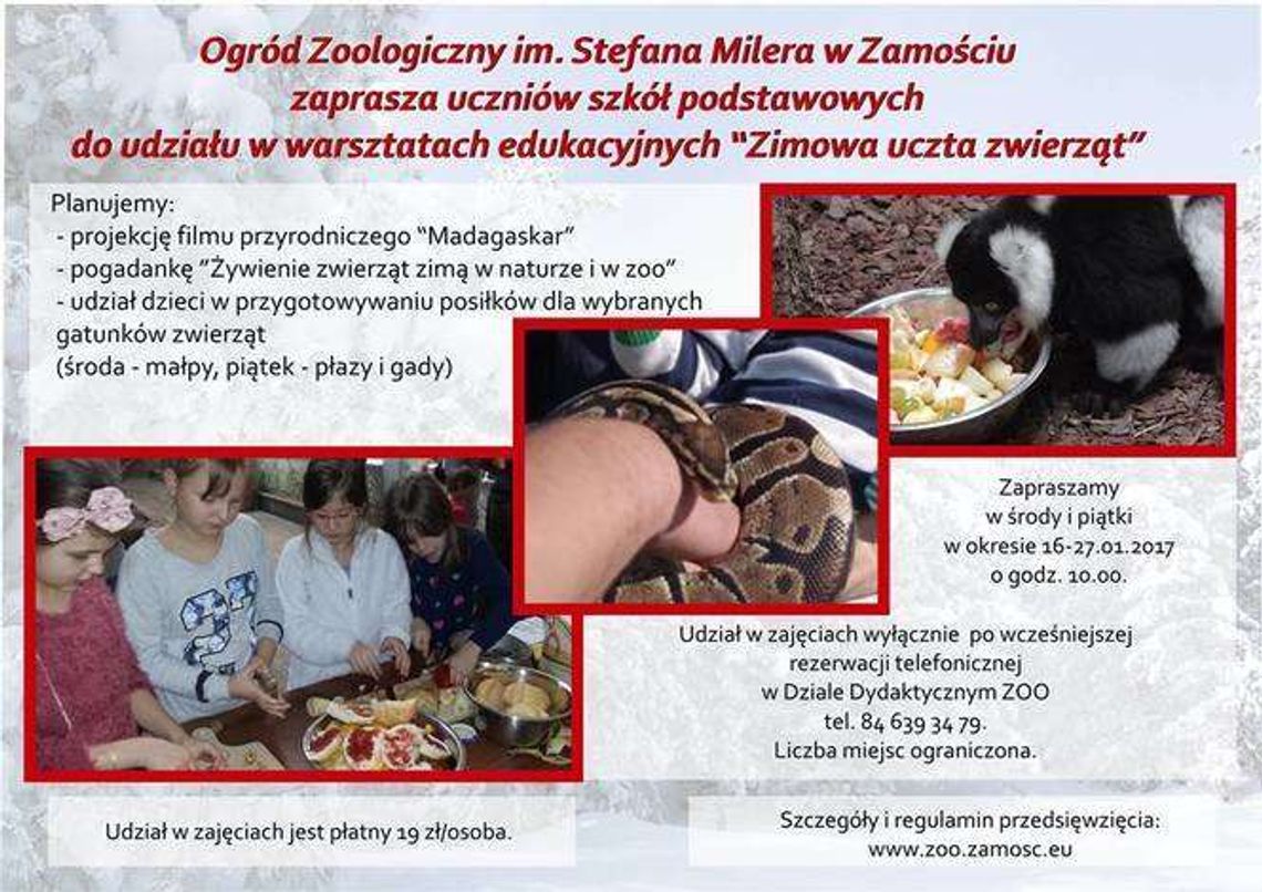 ZOO w Zamościu zaprasza na ferie. I podsumowuje bardzo dobry rok