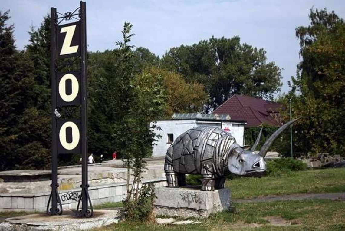 ZOO w Zamościu zbiera żołędzie