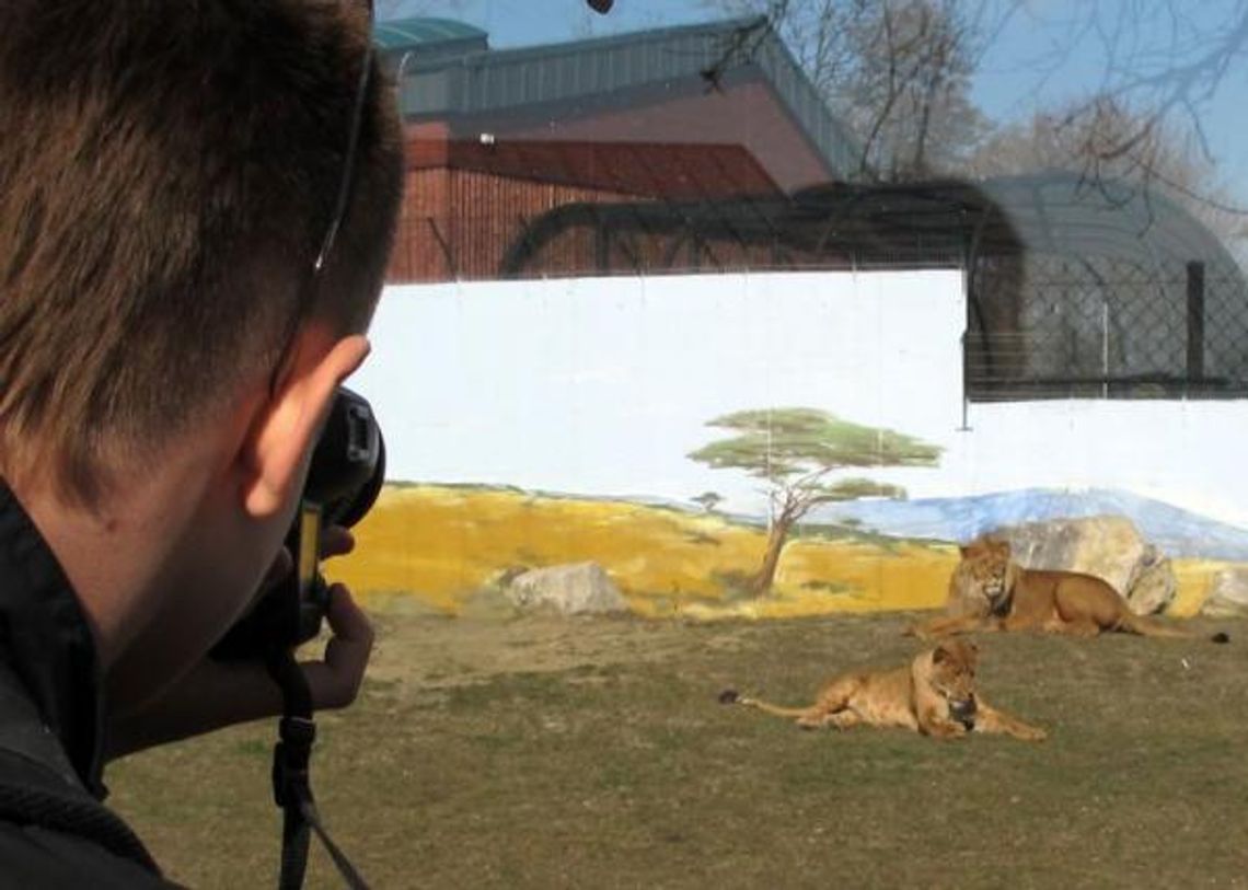 ZOO w Zamościu zmieniło się nie do poznania. W poniedziałek za darmo