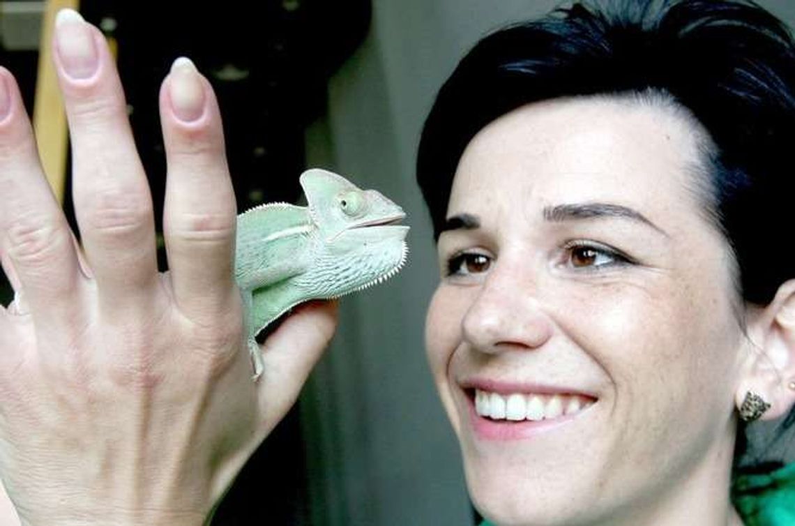 Zoom Natury: Dużo nowości nad zalewem w Janowie Lubelskim