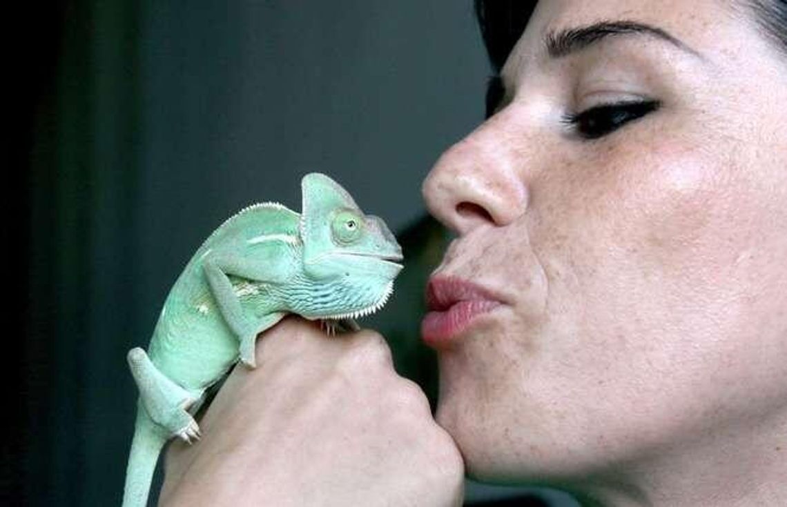 Zoom Natury w Janowie Lubelskim. Otwarcie laboratoriów edukacyjnych nad zalewem (cennik)