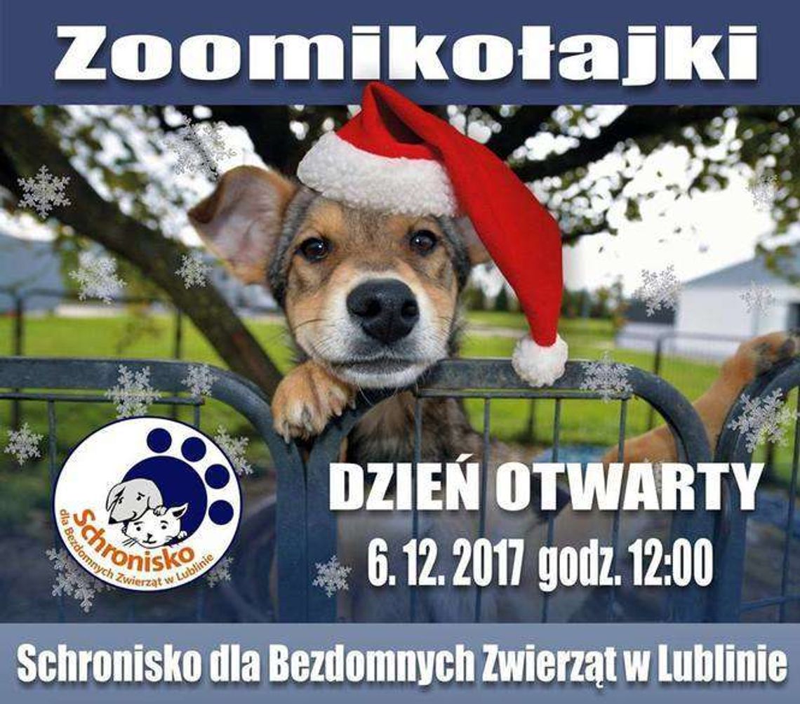 Zoomikołajki w lubelskim schronisku dla zwierząt
