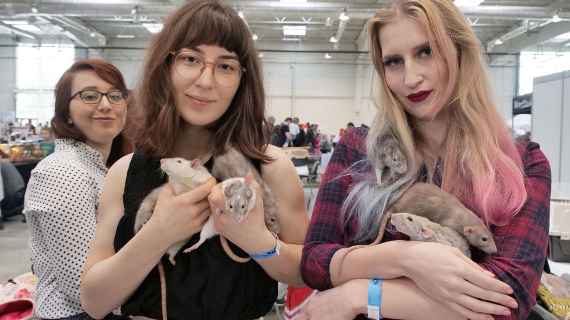 ZOOPARK 2019 w Lublinie: Tłumy odwiedzających w Targach Lublin [zdjęcia, wideo]