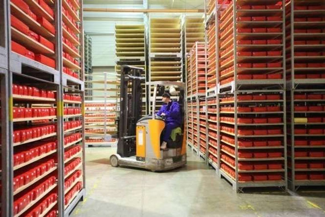 "Zostaliśmy potraktowani jak gałgany". Prezes naraził się dostawcom mleka