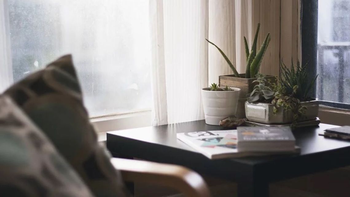 #zostanwdomu. W akcję internautów włączyły się gwiazdy sportu i showbiznesu #zostanwdomu. W akcję internautów włączyły się gwiazdy sportu i showbiznesu