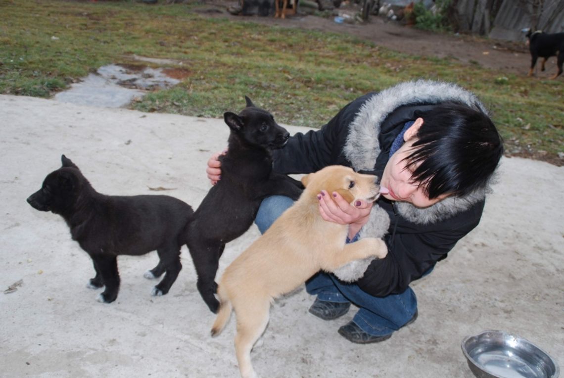 Zrób coś dobrego na święta: Pomóż zwierzakom w potrzebie Zrób coś dobrego na święta: Pomóż zwierzakom w potrzebie