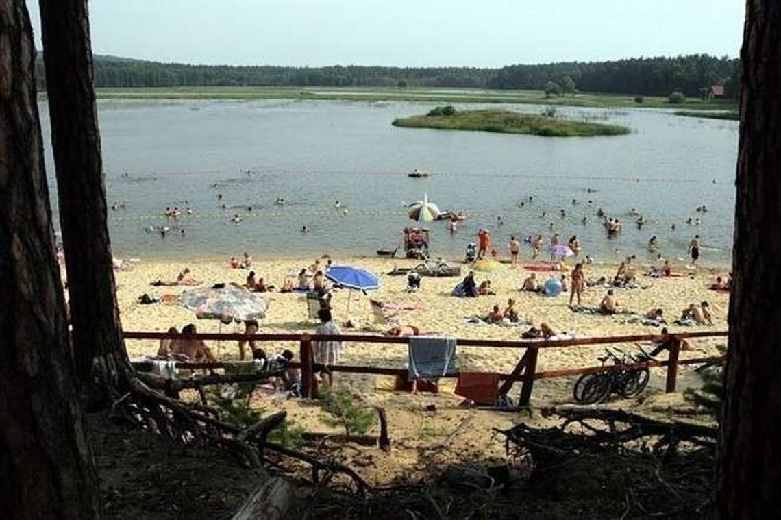 Zrób makietę Roztocza. Kampania edukacyjna i konkurs dla dzieci