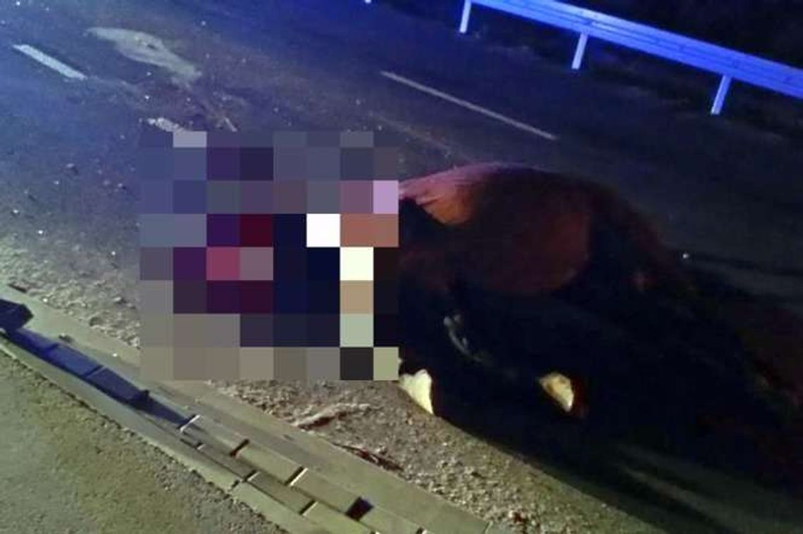 Zrobili drogę, kierowcy przyspieszyli. Mieszkaniec: Proszę zwolnijcie Zrobili drogę, kierowcy przyspieszyli. Mieszkaniec: Proszę zwolnijcie