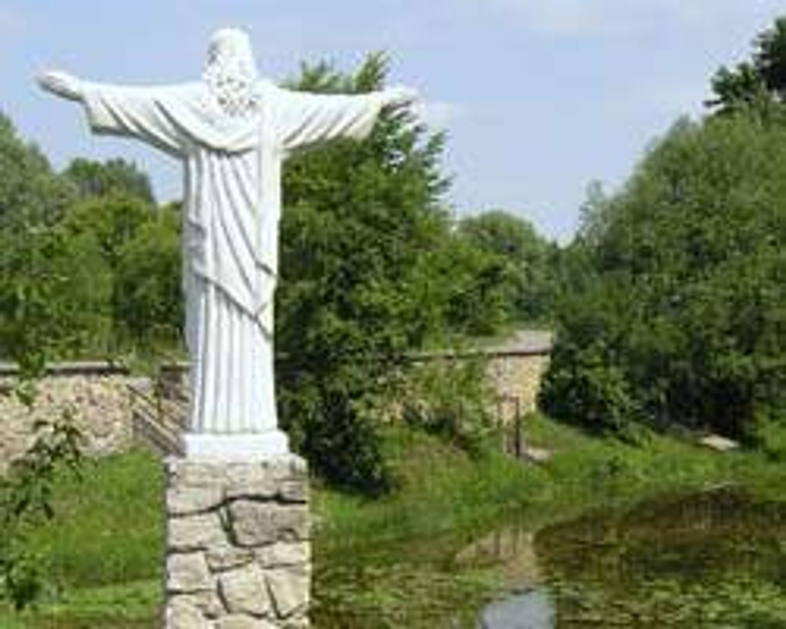 Źródliska w Janowie Lub. (nr 22) - 0 głosów