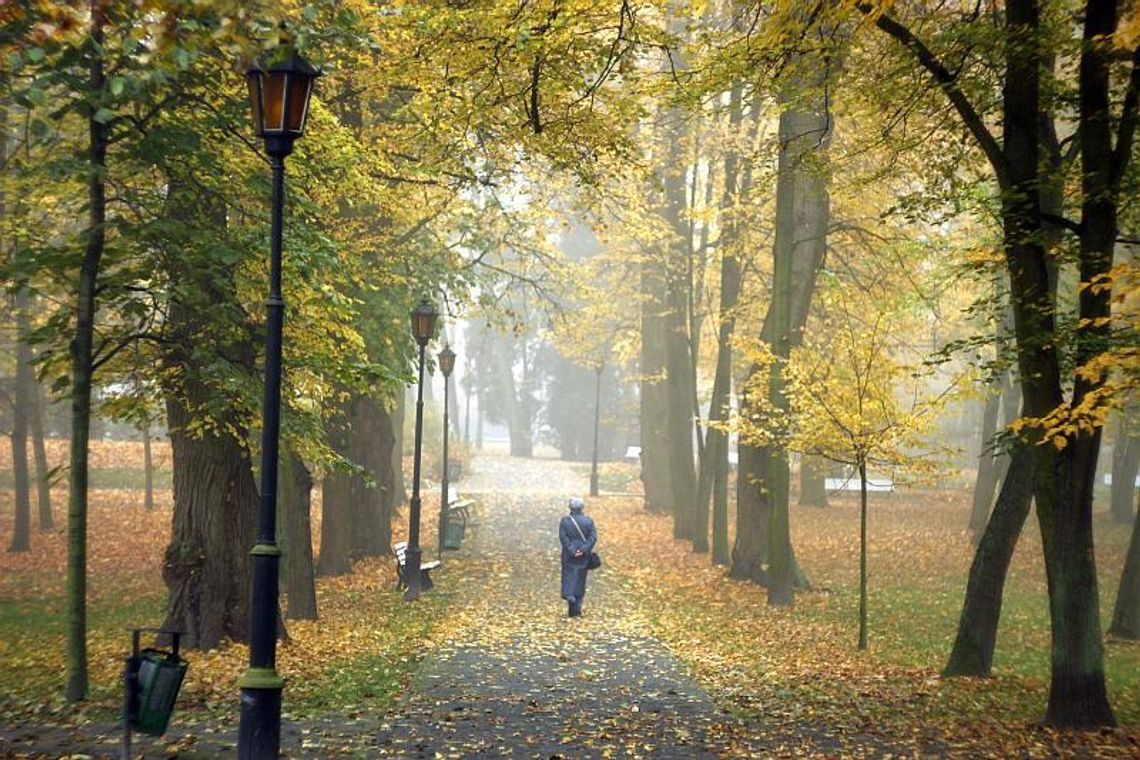 Zrzutka na obwodnicę Nałęczowa