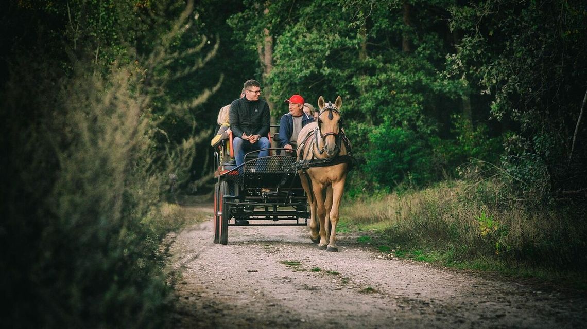 Zwiedzanie bryczką lub meleksem. Gmina szykuje się na turystów 
