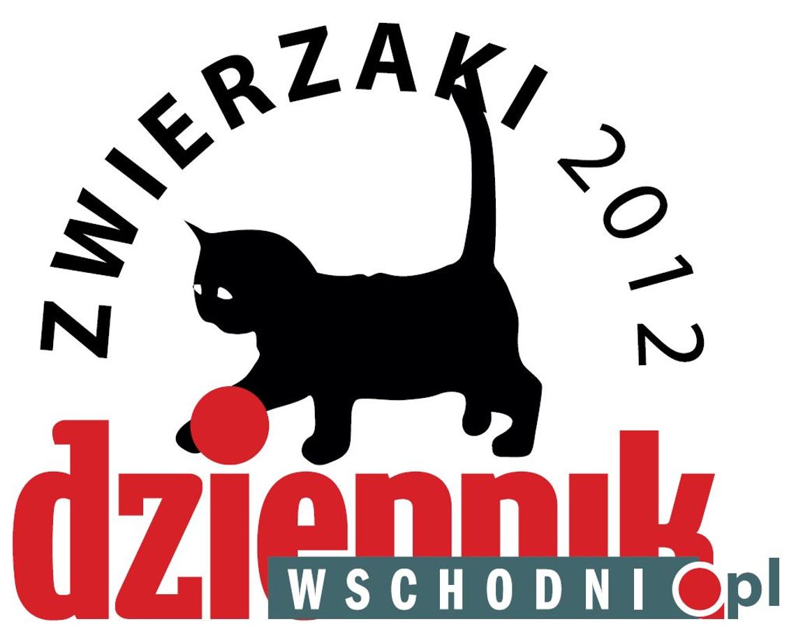 Zwierzaki 2012: Poznaj zwycięzców naszego plebiscytu