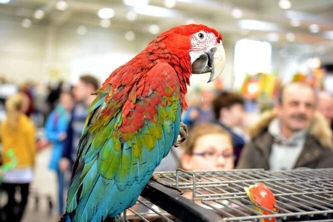 Zwierzaki z całego świata w Lublinie!