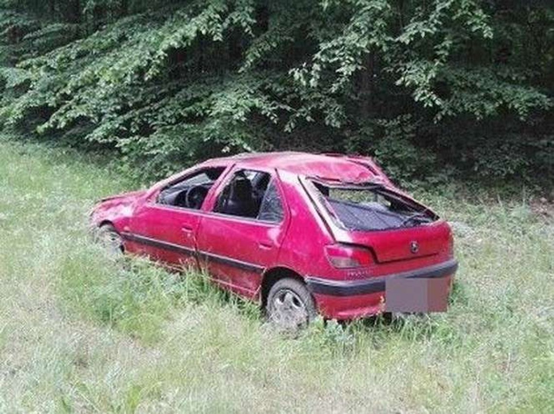 Zwierzę na drodze, samochód w rowie