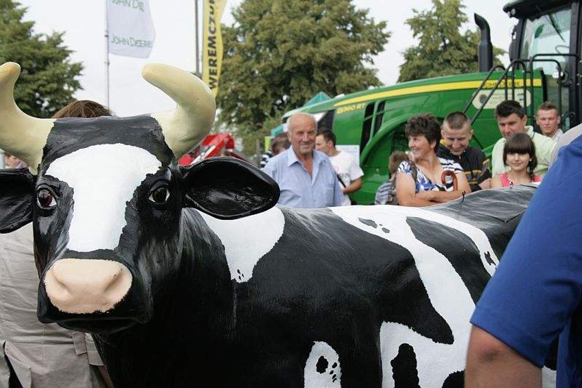 Zwierzęta i sprzęt rolniczy na dniu otwartym LODR w Końskowoli (zdjęcia) Zwierzęta i sprzęt rolniczy na dniu otwartym LODR w Końskowoli (zdjęcia)