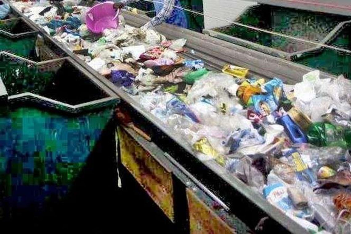 Zwierzęta obdarte ze skóry w sortowni śmieci