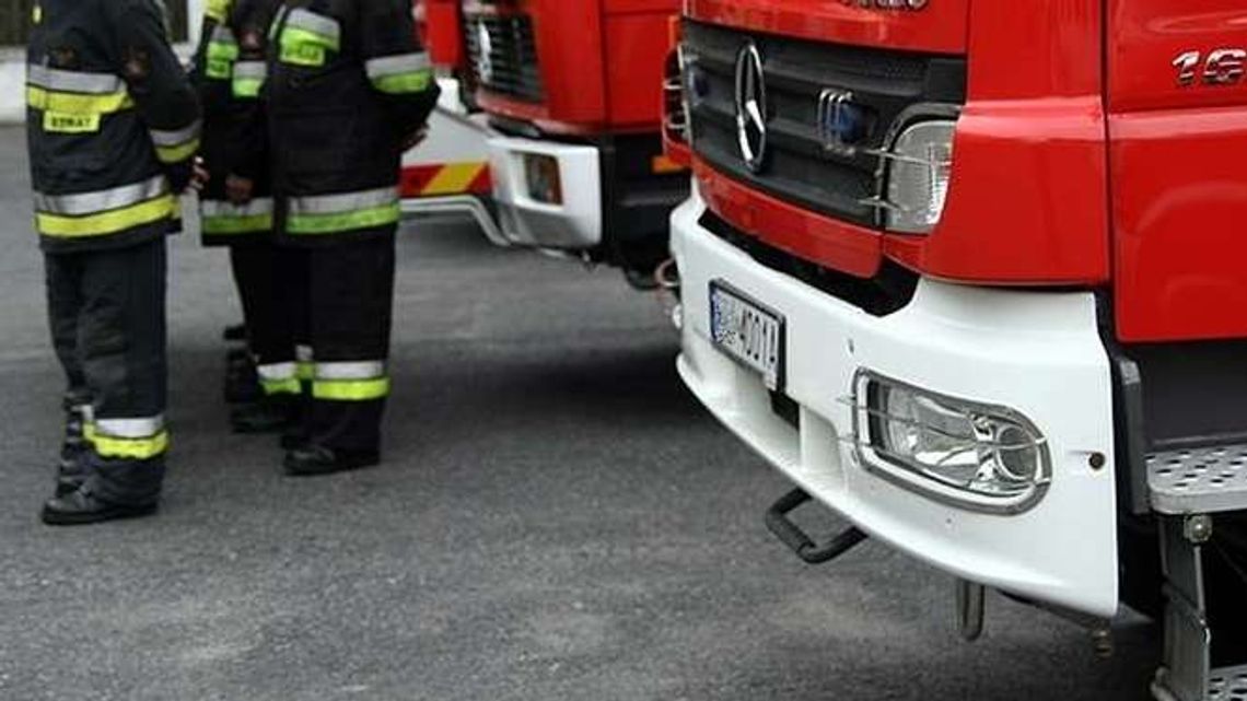 Zwierzęta zginęły w płomieniach. Grzywna dla gospodarza, który spowodował pożar Zwierzęta zginęły w płomieniach. Grzywna dla gospodarza, który spowodował pożar