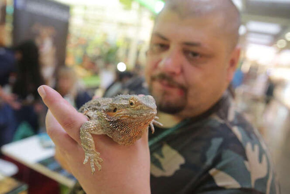 ZwierzoLublin: Dzieci poznały zwierzęta z egzotarium [zdjęcia]