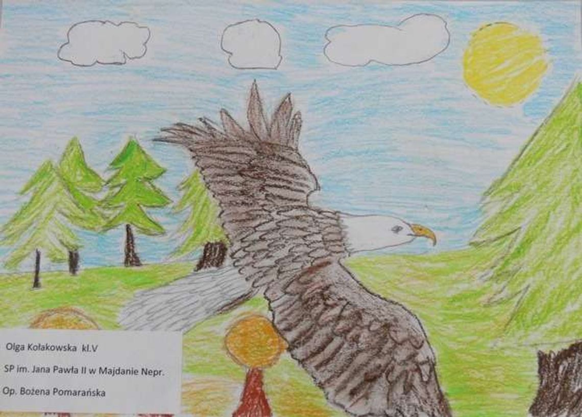 Zwierzyniec. Dzieci patrzą na grzyby, rośliny i zwierzęta