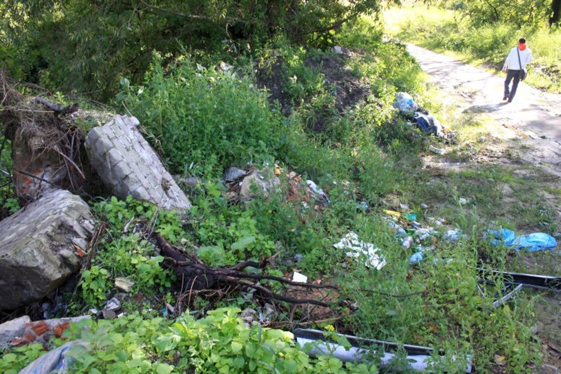 Zwierzyniec: Kamery będą strzegły lasu przed brudasami i złodziejami Zwierzyniec: Kamery będą strzegły lasu przed brudasami i złodziejami