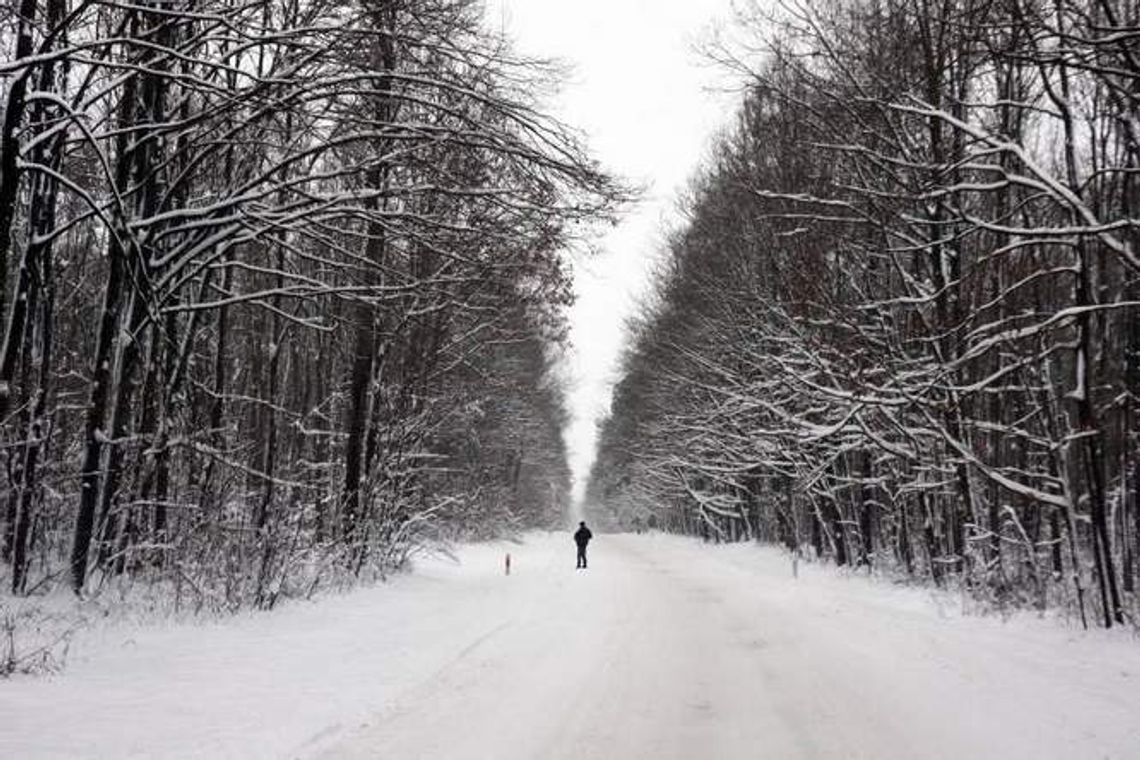 Zwierzyniec, Tomaszów, Józefów: Zakaz wstępu do lasów
