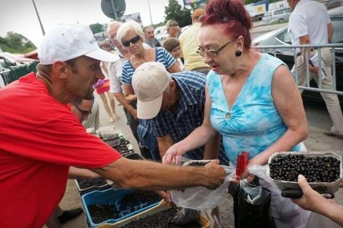 Zwolennicy JOW-ów rozdawali porzeczki na targu w Lublinie Zwolennicy JOW-ów rozdawali porzeczki na targu w Lublinie