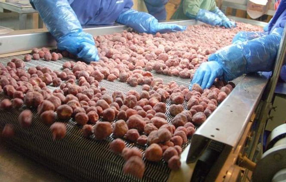 Zwolnienia w przetwórni w Rykach. Jest porozumienie, ale "trudno mówić o sukcesie"