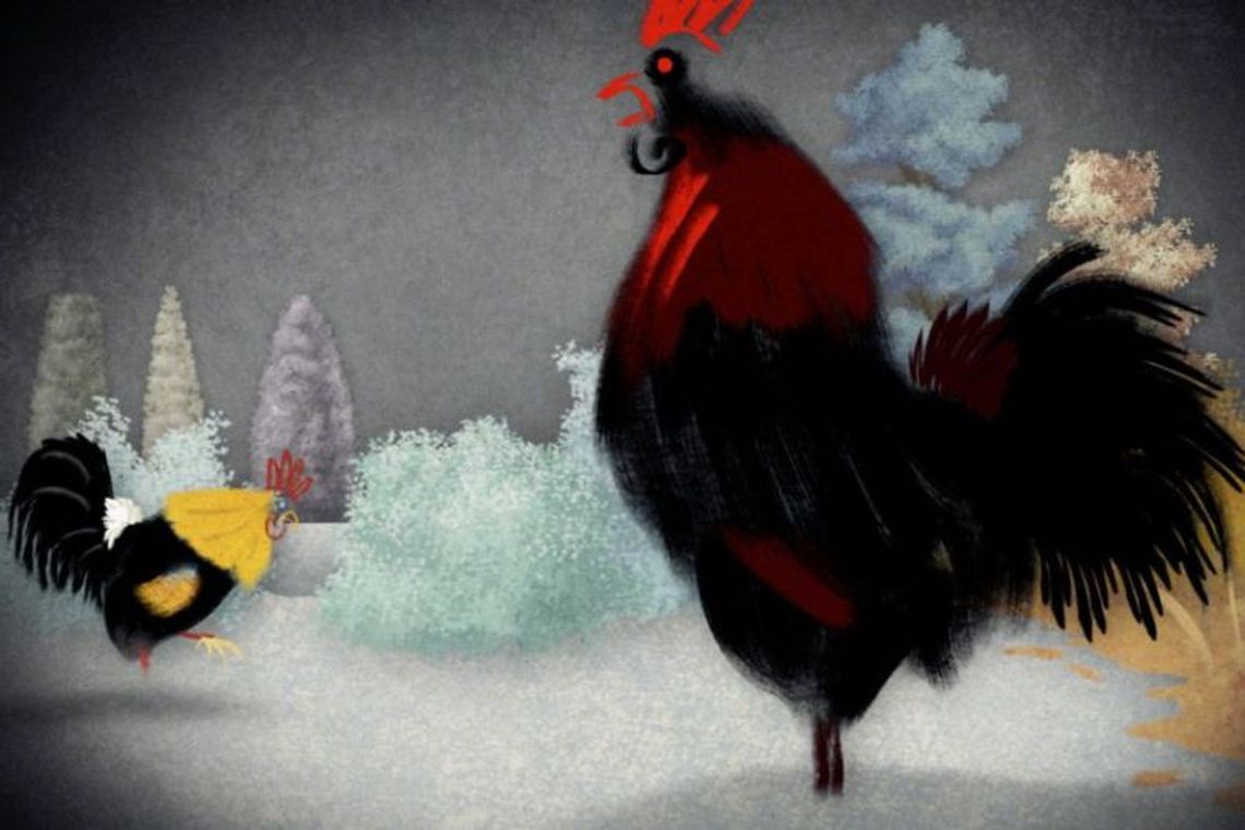 Życie belgijskiego koguta czyli Future Shorts w Lublinie Życie belgijskiego koguta czyli Future Shorts w Lublinie