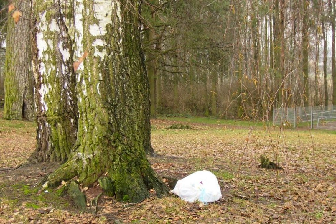 Żyrzyn szykuje wypoczynkowy raj