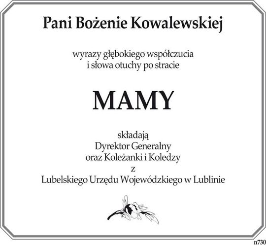 kowalewskiej kowalewskiej