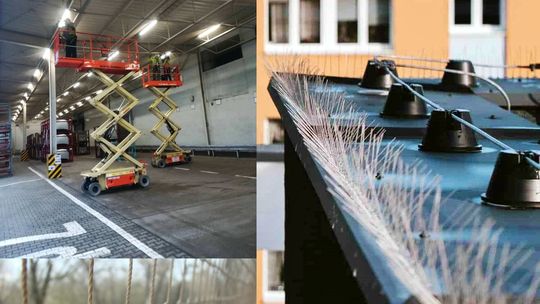 Topprotect.pl - kompleksowa ochrona przed gołębiami i innym ptactwem, kolce na ptaki Topprotect.pl - kompleksowa ochrona przed gołębiami i innym ptactwem, kolce na ptaki