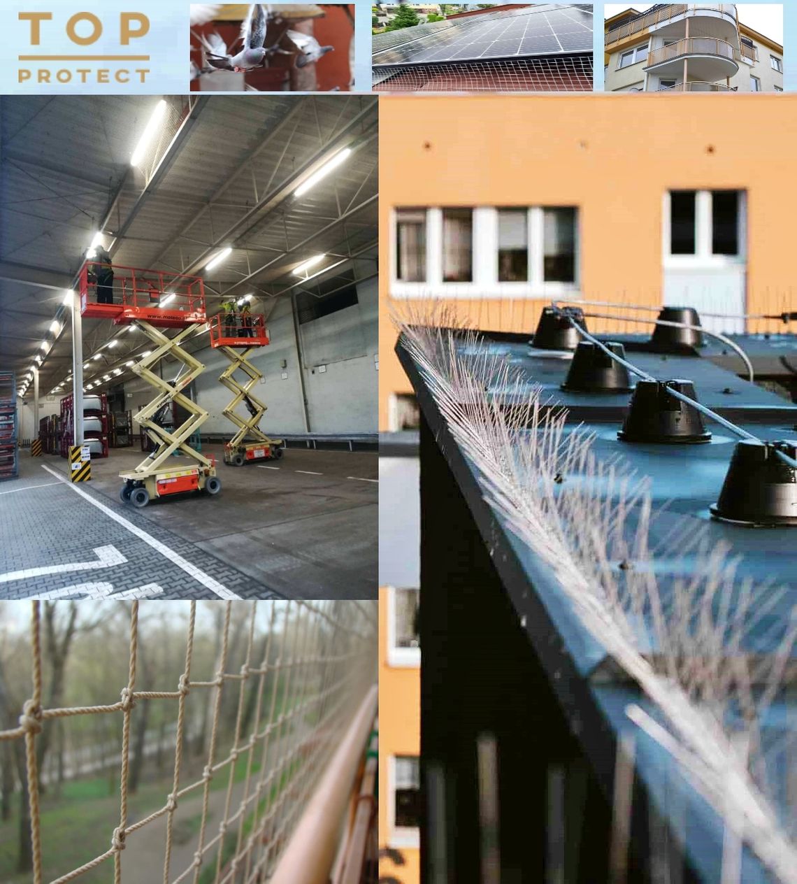 Topprotect.pl - kompleksowa ochrona przed gołębiami i innym ptactwem, kolce na ptaki
