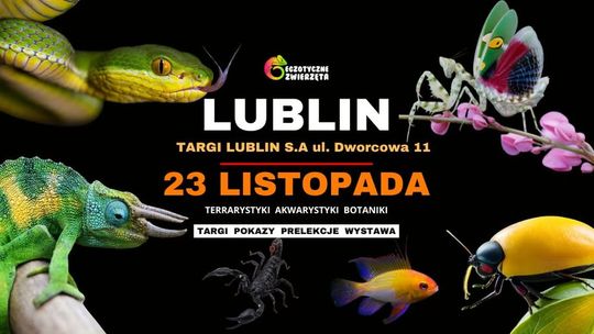 Egzotyczne Zwierzęta w Lublinie