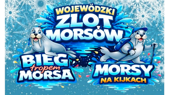Wojewódzki Zlot Morsów – Bieg Tropem Morsa i Morsy na Kijkach, zimowe wydarzenie dla miłośników morsowania.